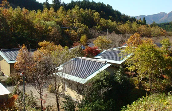 離れ水分村