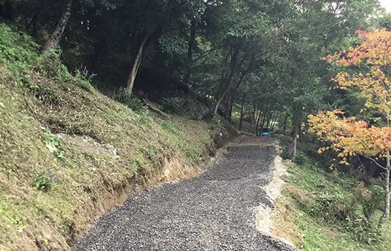 散歩道